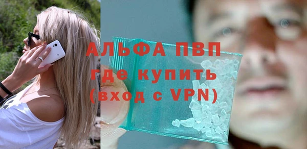 гашик Каменногорск