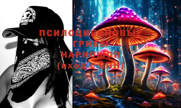 ECSTASY Каменск-Шахтинский