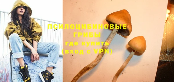 гашик Каменногорск