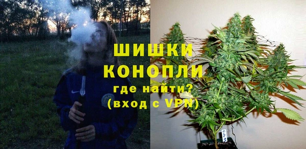 гидропоника Каменка