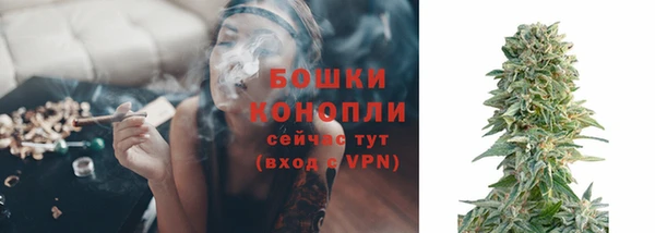 гашик Каменногорск