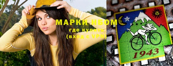 гашик Каменногорск