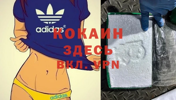 гашик Каменногорск