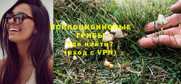 гидропоника Каменка