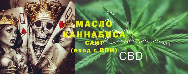 гидропоника Каменка