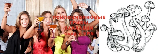 гашик Каменногорск
