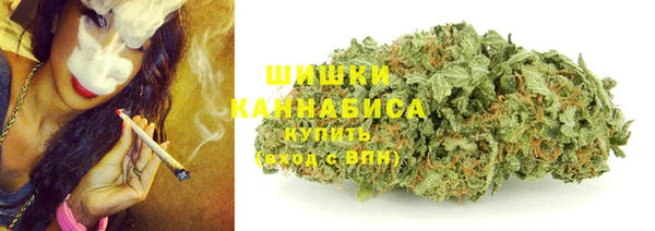 гидропоника Каменка