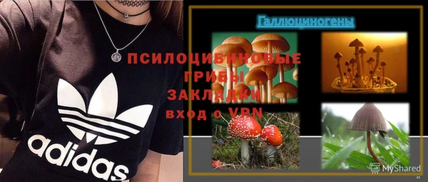 ECSTASY Каменск-Шахтинский